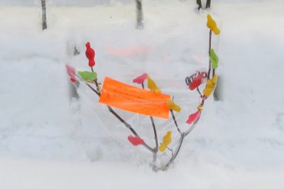 雪中花水祝