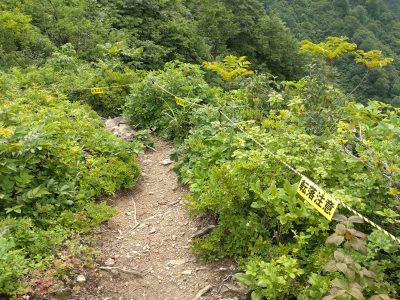 2023滝雲看板