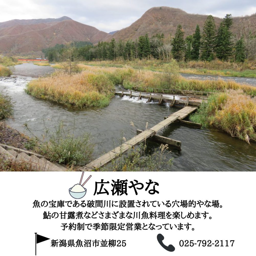 広瀬やな