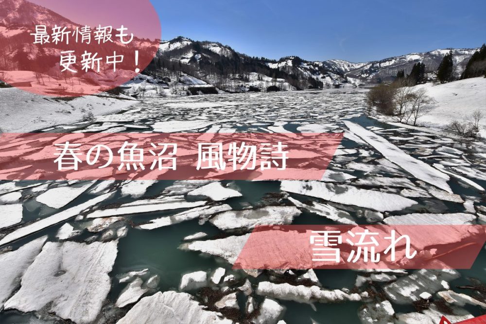 雪流れトップ