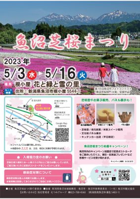 2023魚沼芝桜まつりチラシ