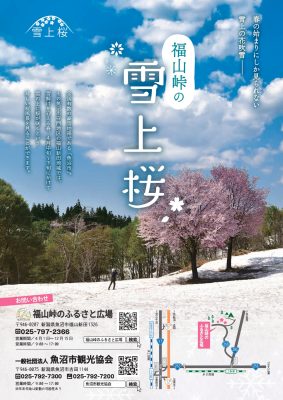 2023雪上桜パンフレット