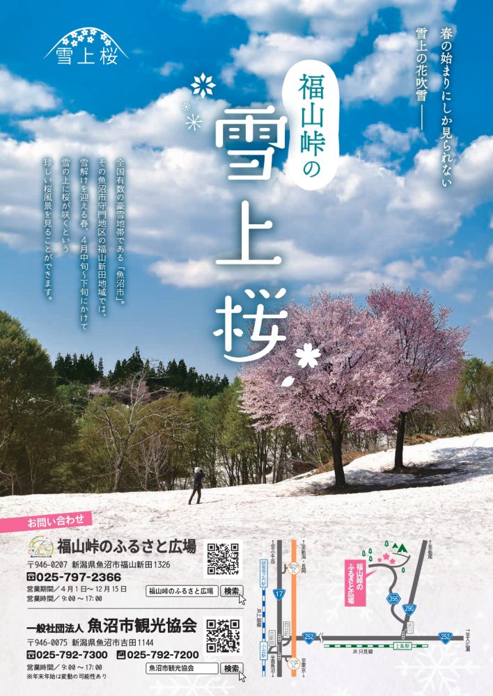2023雪上桜パンフレット