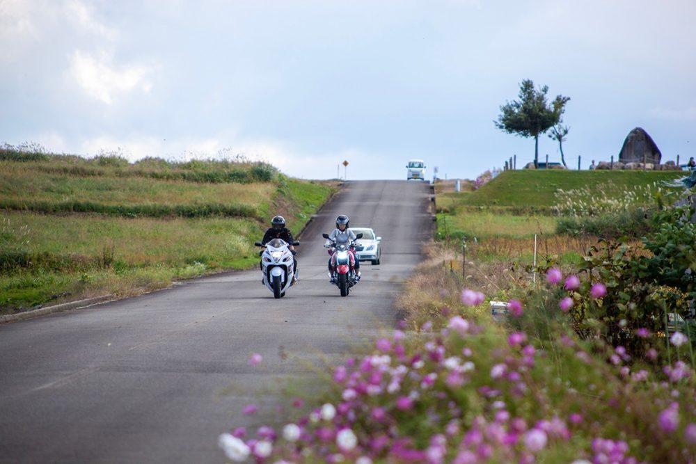 上原コスモス園とバイク