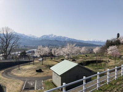 小出公園20230411