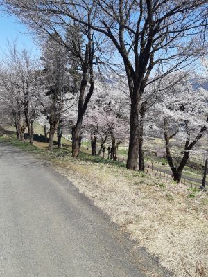 koide20230410

