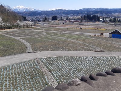 花と緑と雪の里公園20230410