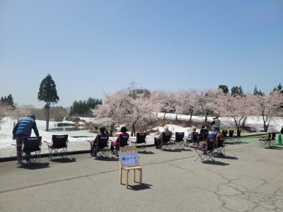 雪上桜20230413