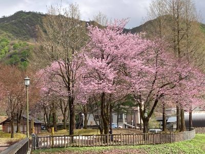 大湯公園20230419