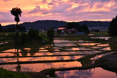 農村の原風景