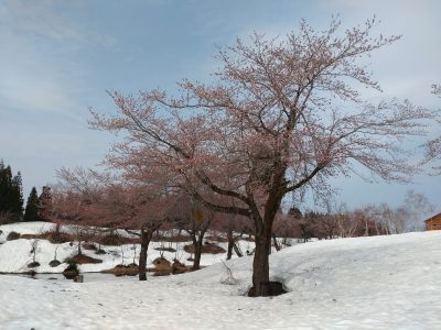 福山20230405