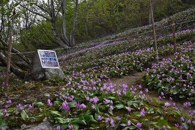 小出公園20230420