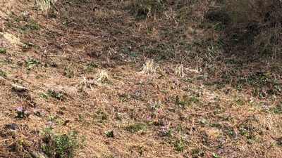 小出公園20230405