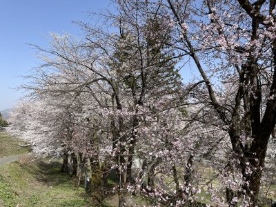 小出公園20230413