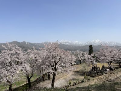小出公園20230413