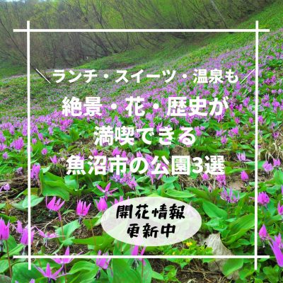 魚沼市公園３選バナー