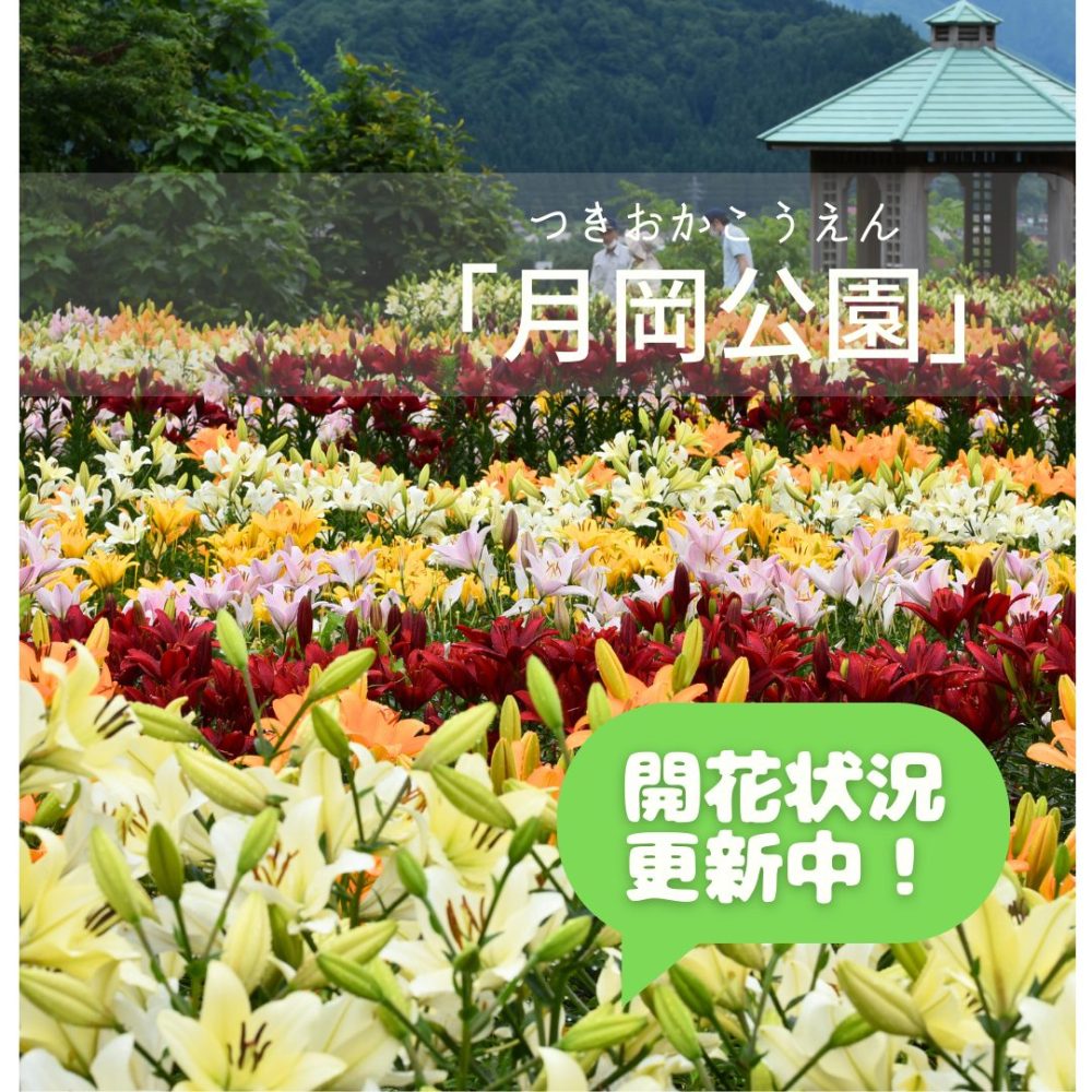 月岡公園バナートップ