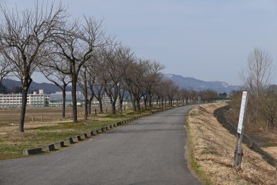 2024.4.6桜づつみ