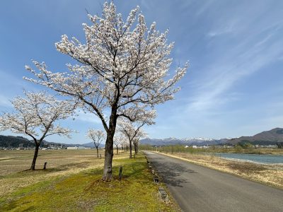 R6-4-13桜づつみ