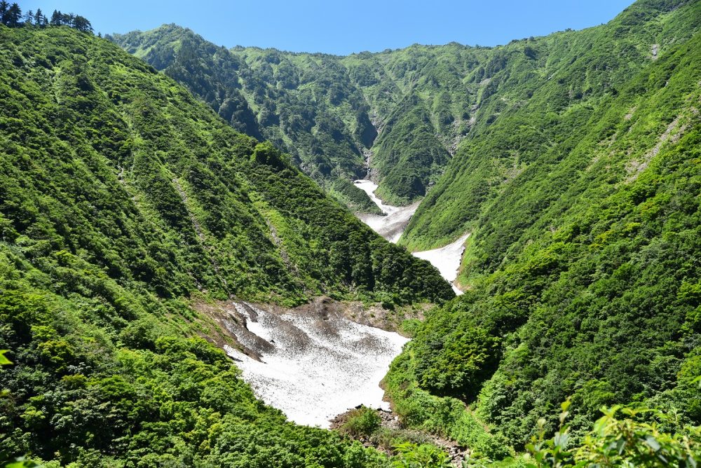 中荒沢