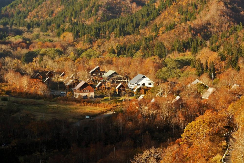 枝折峠