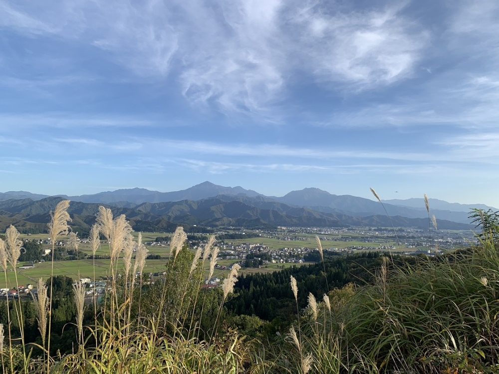 上原コスモス園