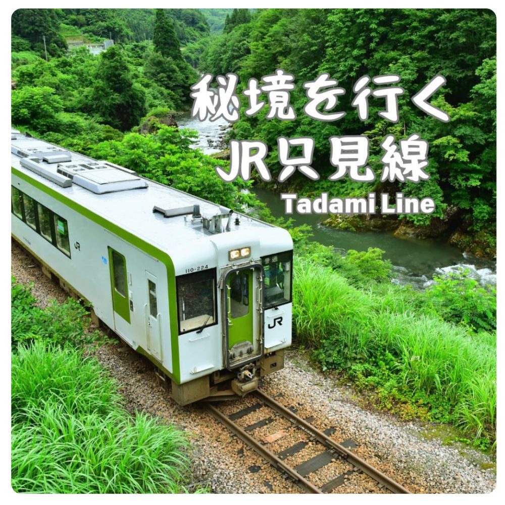 iine様　予約分　魚沼 尾瀬アクセス（交通機関予約） | 魚沼市観光協会