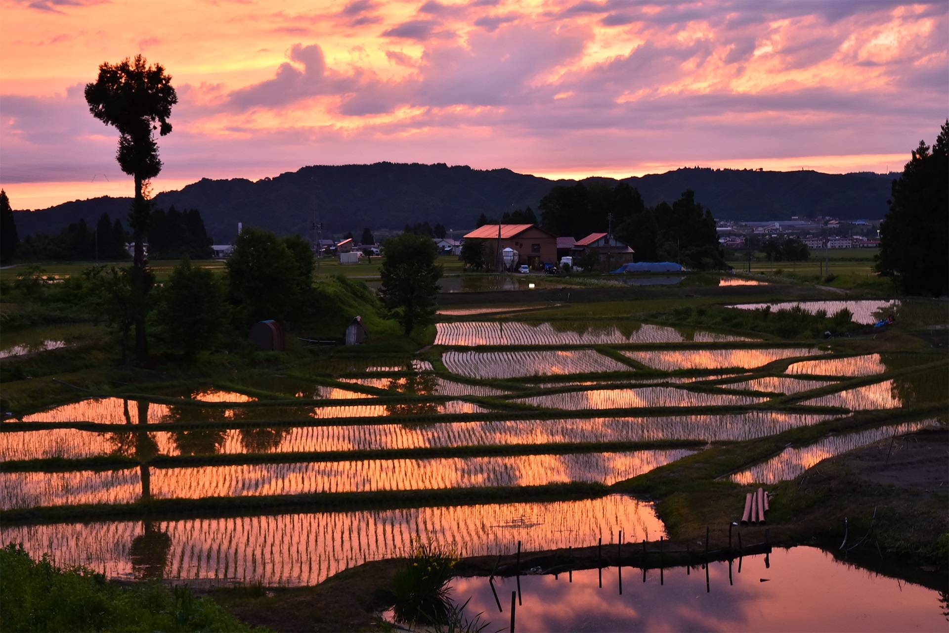 八十八景